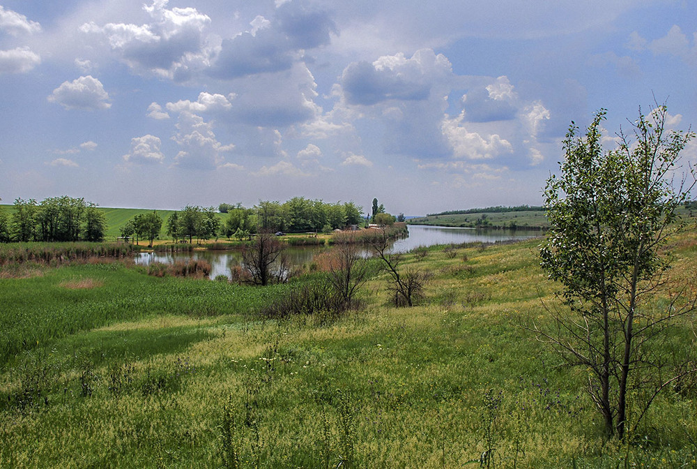 Фотографія За городом... / Валерій Старосєк / photographers.ua