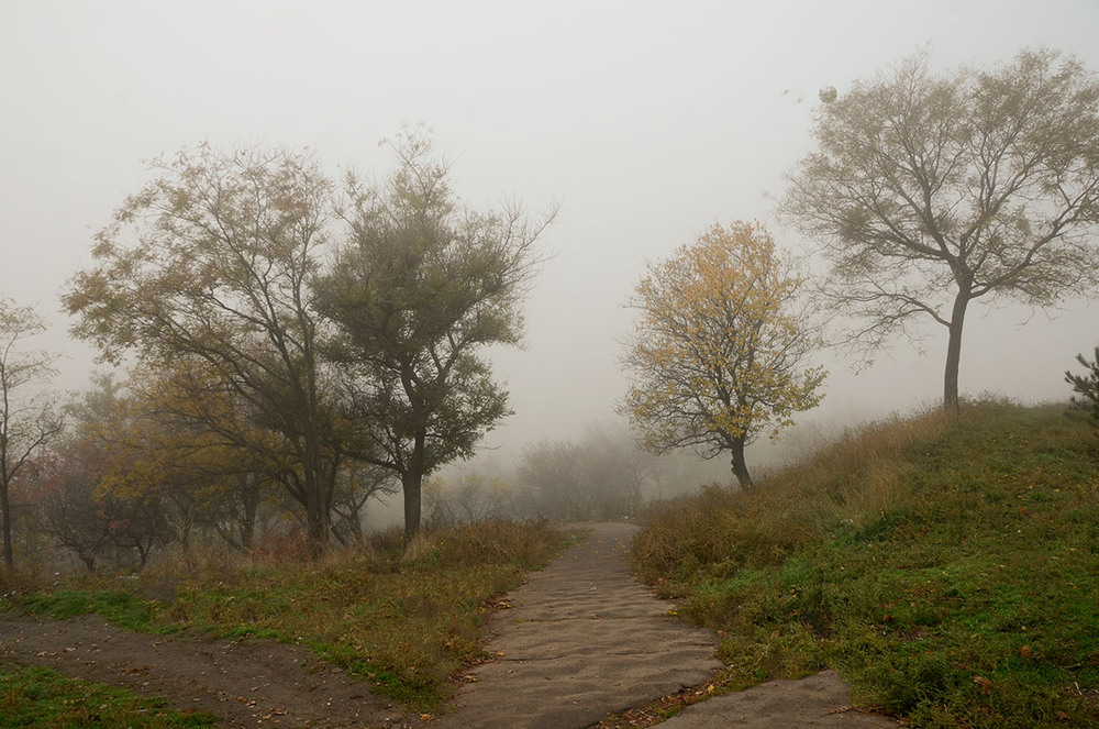 Фотографія Дорога вниз, в туман... / Валерій Старосєк / photographers.ua