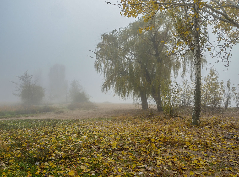 Фотографія Пейзаж / Валерій Старосєк / photographers.ua