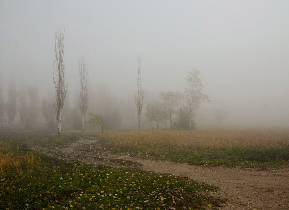 Фотографія Осенней дорогой в туман... / Валерій Старосєк / photographers.ua