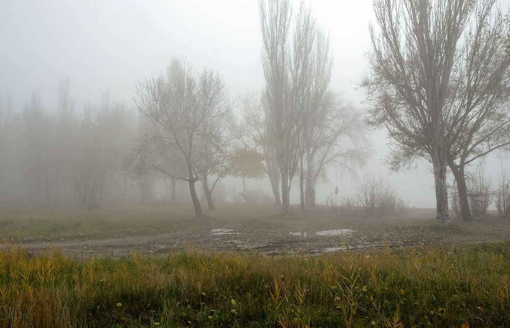 Фотографія Дорога в туман... / Валерій Старосєк / photographers.ua