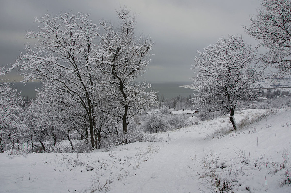 Фотографія Пейзаж / Валерій Старосєк / photographers.ua