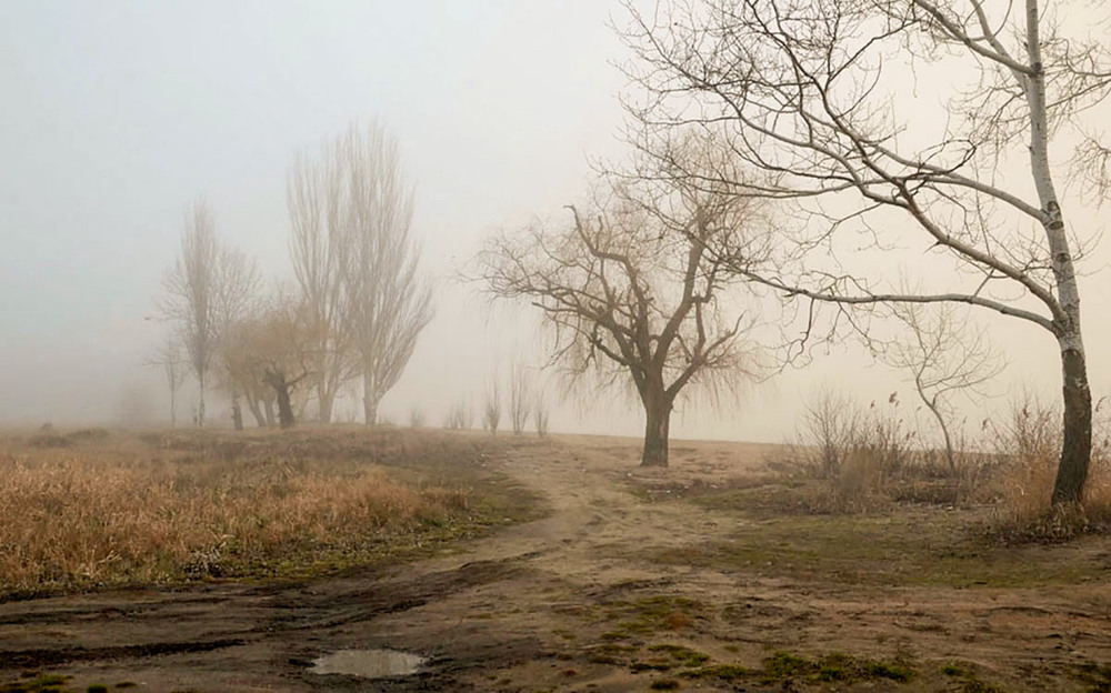 Фотографія Туманные дорожки... / Валерій Старосєк / photographers.ua