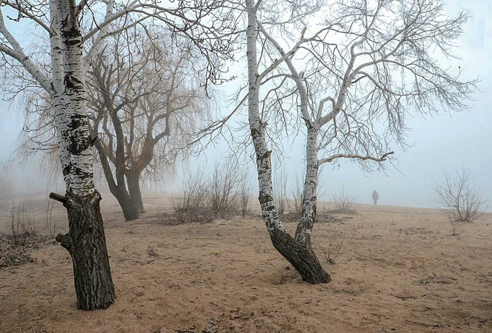 Фотографія Январские туманы на берегу моря... / Валерій Старосєк / photographers.ua