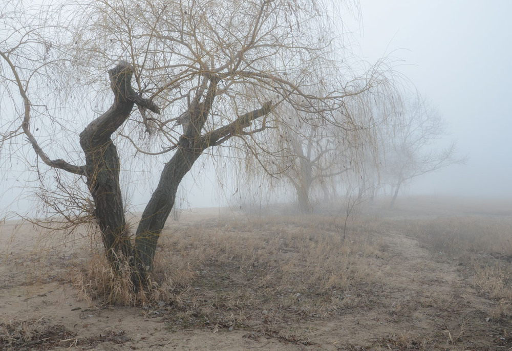 Фотографія Пейзаж / Валерій Старосєк / photographers.ua