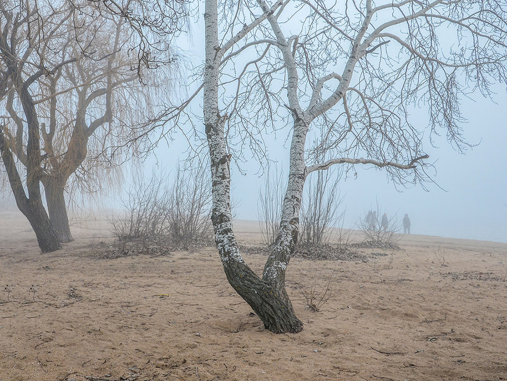 Фотографія Весенние туманы... / Валерій Старосєк / photographers.ua