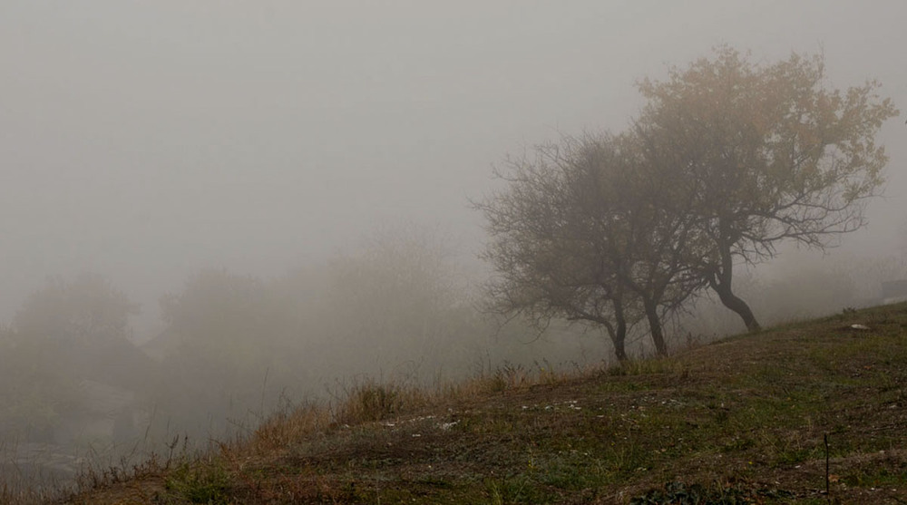 Фотографія По склону в туман... / Валерій Старосєк / photographers.ua