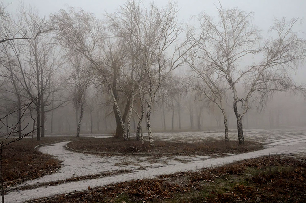 Фотографія На пороге зимы... / Валерій Старосєк / photographers.ua