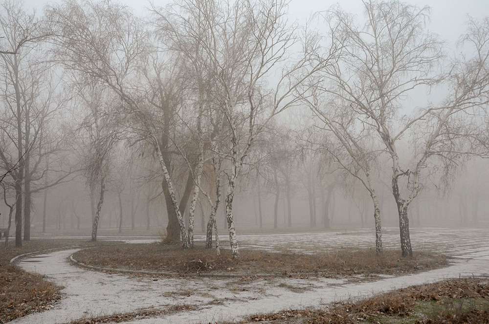 Фотографія Зимний уголок в тумане... / Валерій Старосєк / photographers.ua
