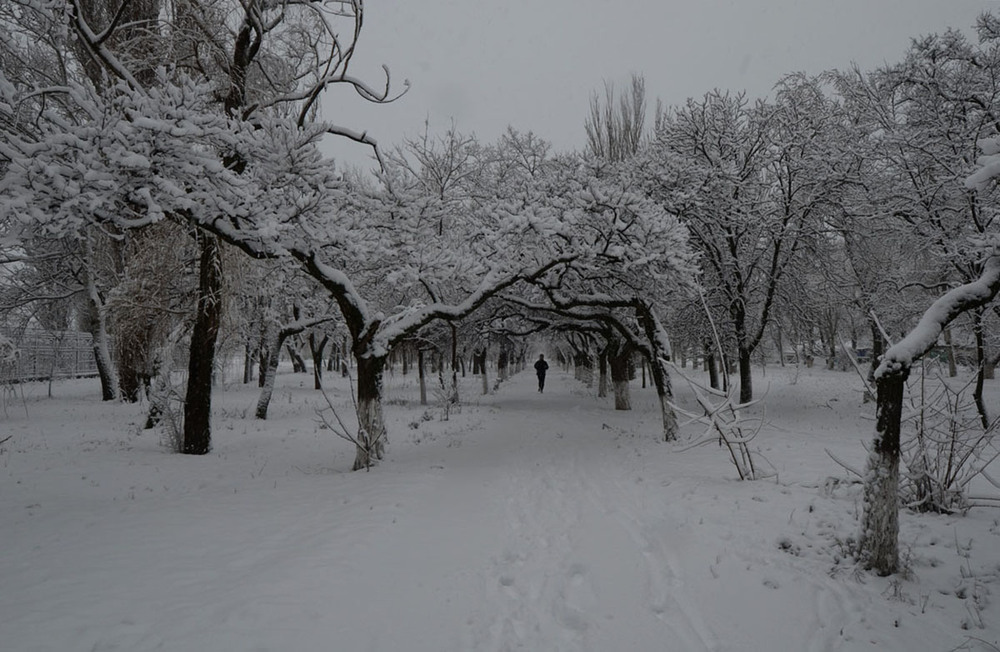 Фотографія Уходя в зиму... / Валерій Старосєк / photographers.ua
