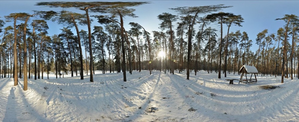 Фотографія Зимний лес / Anton Gusev / photographers.ua