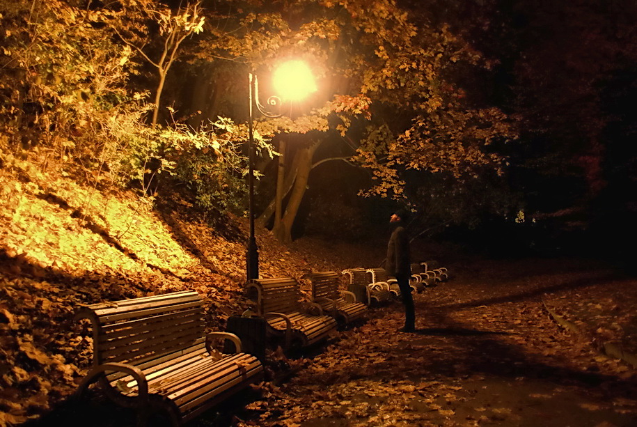 Фотографія Осень,ночь,фонарь / Яков Городецький / photographers.ua