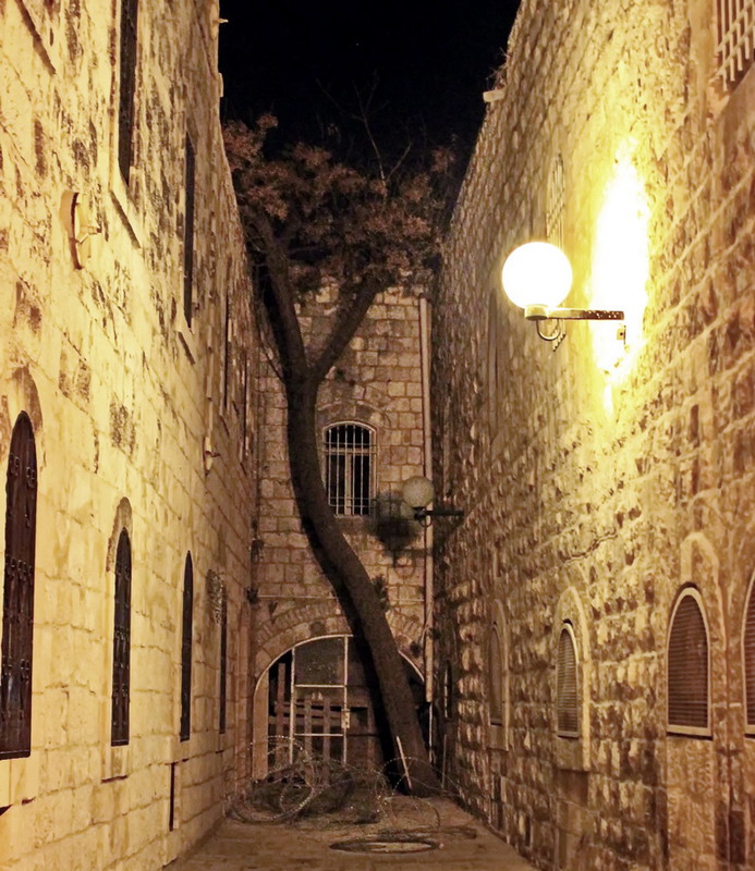 Фотографія Иерусалим, улицами старого города.. / Яков Городецький / photographers.ua