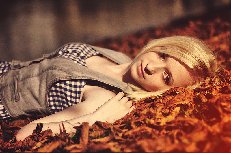 Фотографія gold autumn... / MIren / photographers.ua