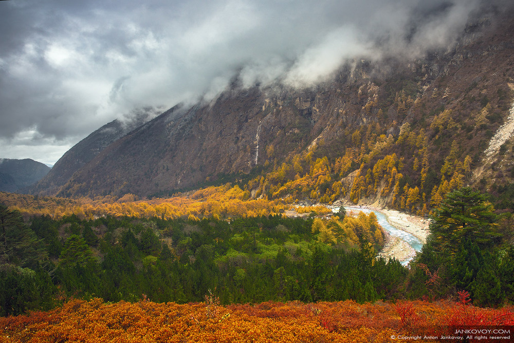 Фотографія Осень в Гималаях / Антон Янковой / photographers.ua