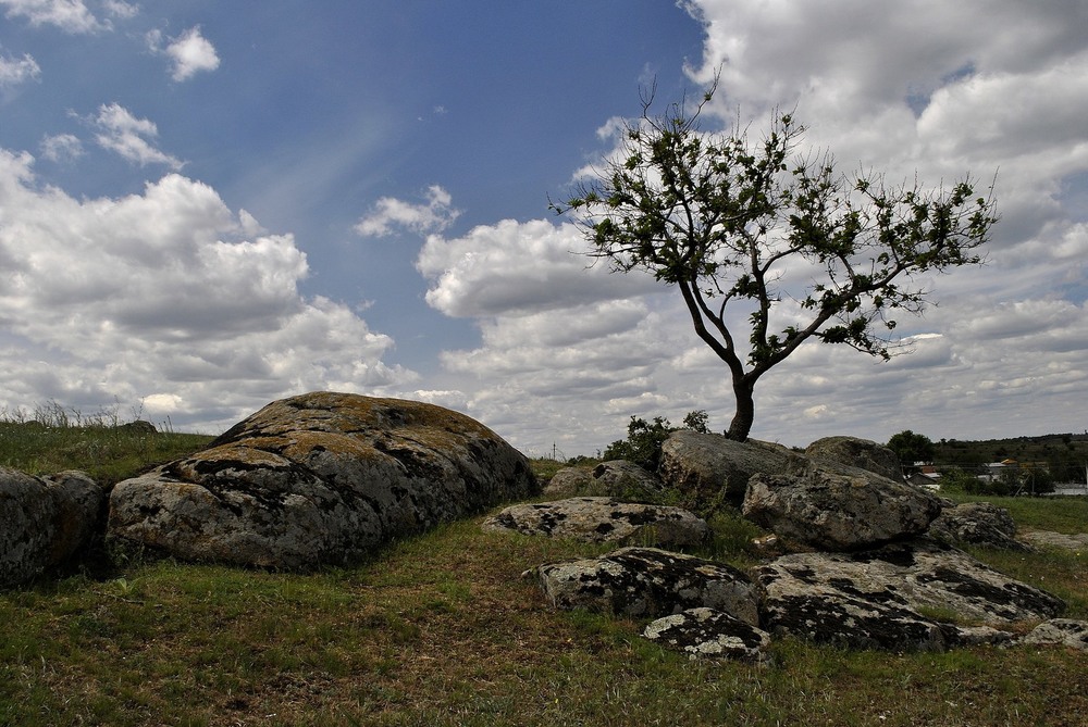 Фотографія И на камнях ростут деревья... / Олександр Бурдейний / photographers.ua