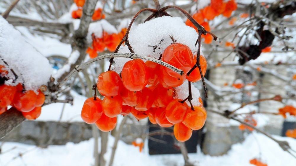 Фотографія Ще трішечки про зиму... / Олександр Бурдейний / photographers.ua