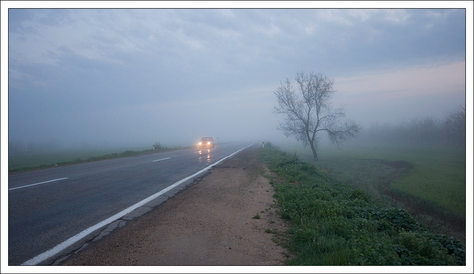 Фотографія По дороге с туманом 1 / Kate Iasna (katekom) / photographers.ua