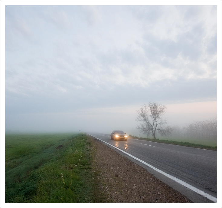 Фотографія По дороге с туманом 2 / Kate Iasna (katekom) / photographers.ua