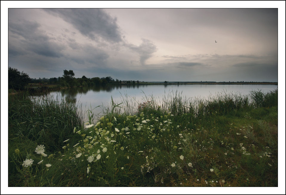 Фотографія Летний пасмурный вечер у озера / Kate Iasna (katekom) / photographers.ua