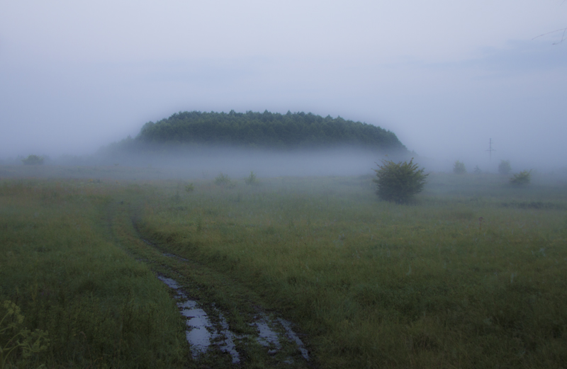 Фотографія Туманний ранок... / Alex Shot / photographers.ua