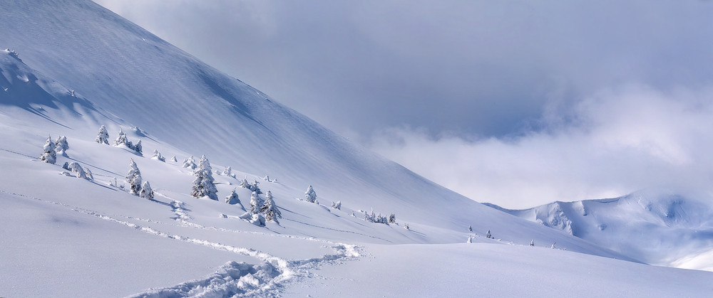 Фотографія про міграції снігових сусліків / Андрій Майовський / photographers.ua