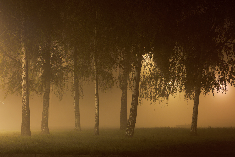 Фотографія Осенний туман / Александр Сивун / photographers.ua