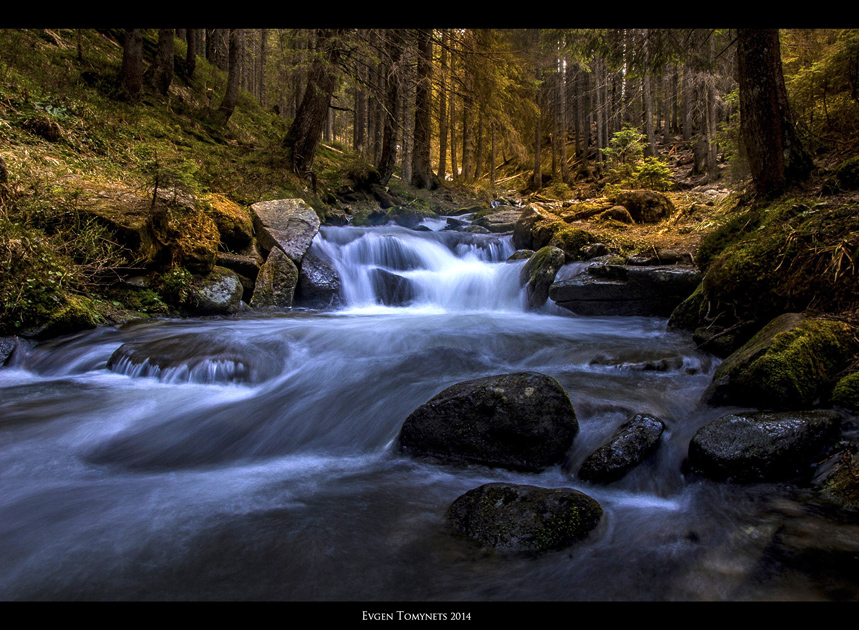 Фотографія Река в горах / Женя Томинець / photographers.ua