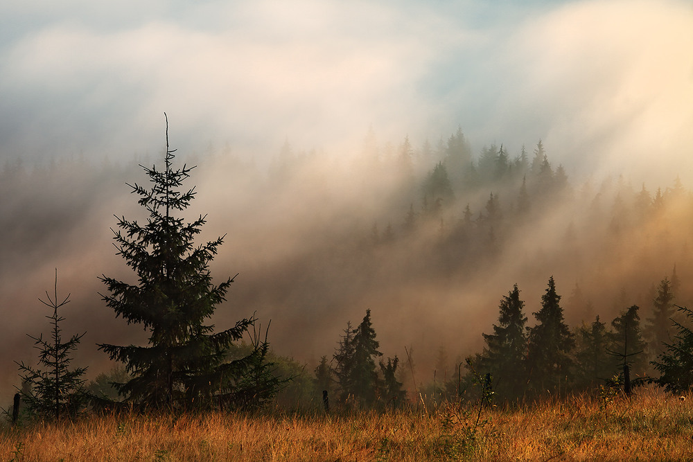 Фотографія Foggy mountains / Vasyl Chornyy / photographers.ua