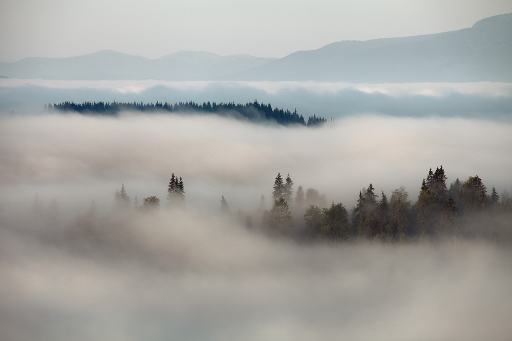 Фотографія Foggy mountains / Vasyl Chornyy / photographers.ua