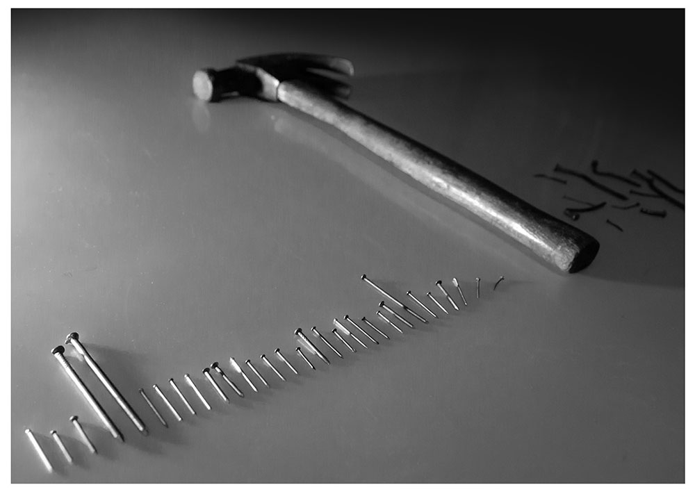 Фотографія Одни под давлением сжимаются, другие распрямляются / Світлана Кульчицька / photographers.ua