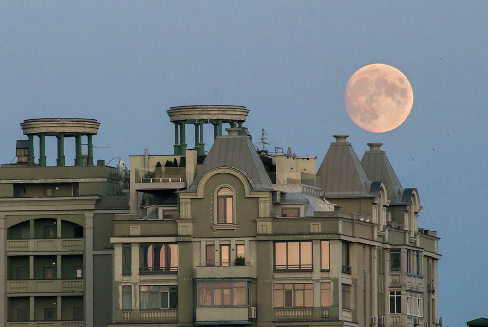 Фотографія Летом на Луну и звёзды смотрю чаще чем на Солнце / Світлана Кульчицька / photographers.ua