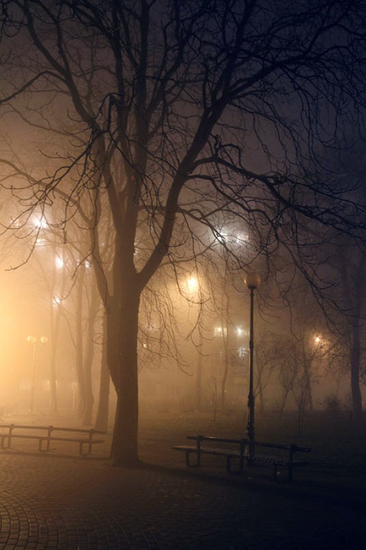 Фотографія Город, архитектура / Світлана Кульчицька / photographers.ua