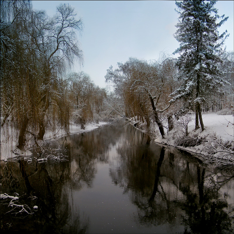 Фотографія dark river / vovikmar / photographers.ua