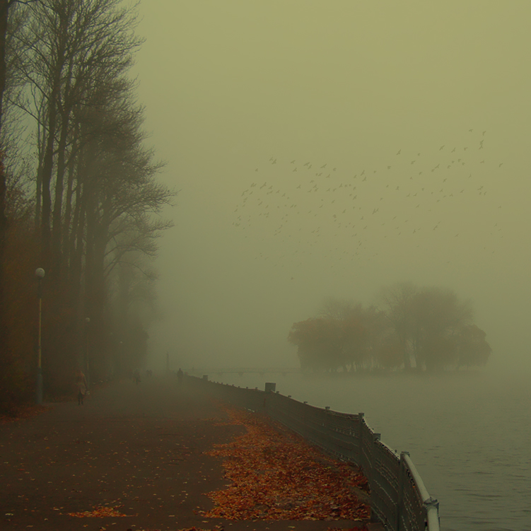 Фотографія Уходя в туман... / vovikmar / photographers.ua
