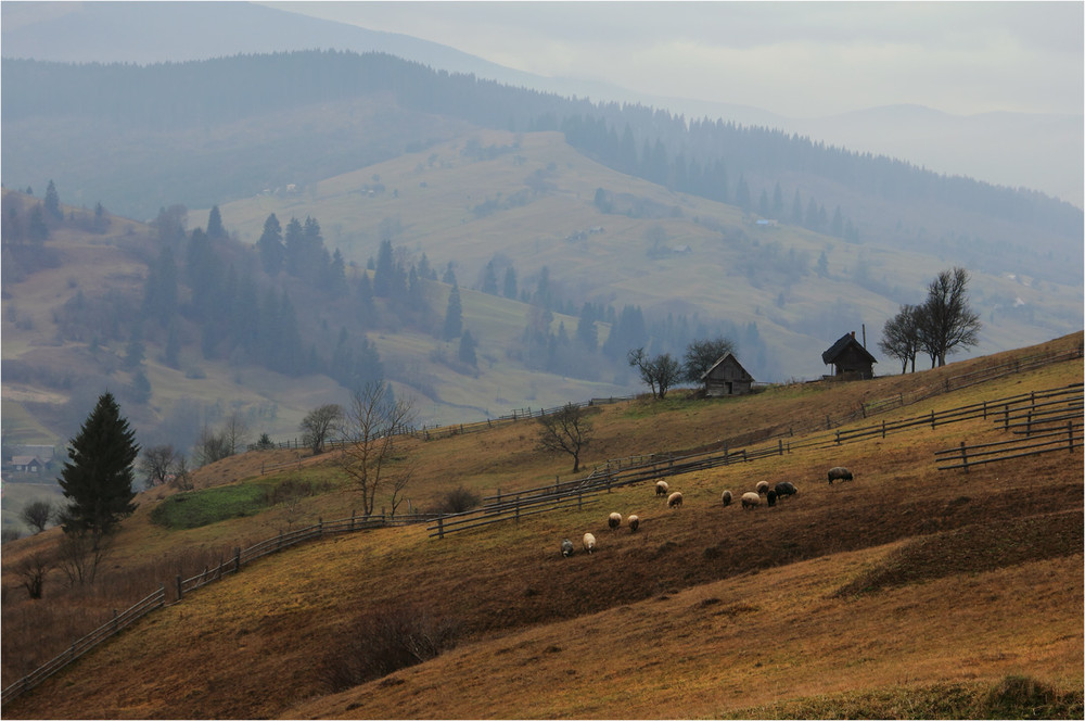 Фотографія Пейзаж / vovikmar / photographers.ua