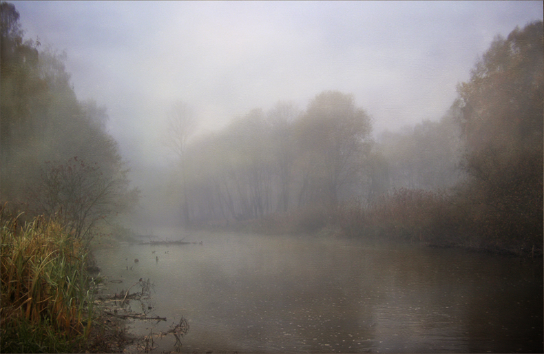 Фотографія Проснулся у реки туман / vovikmar / photographers.ua