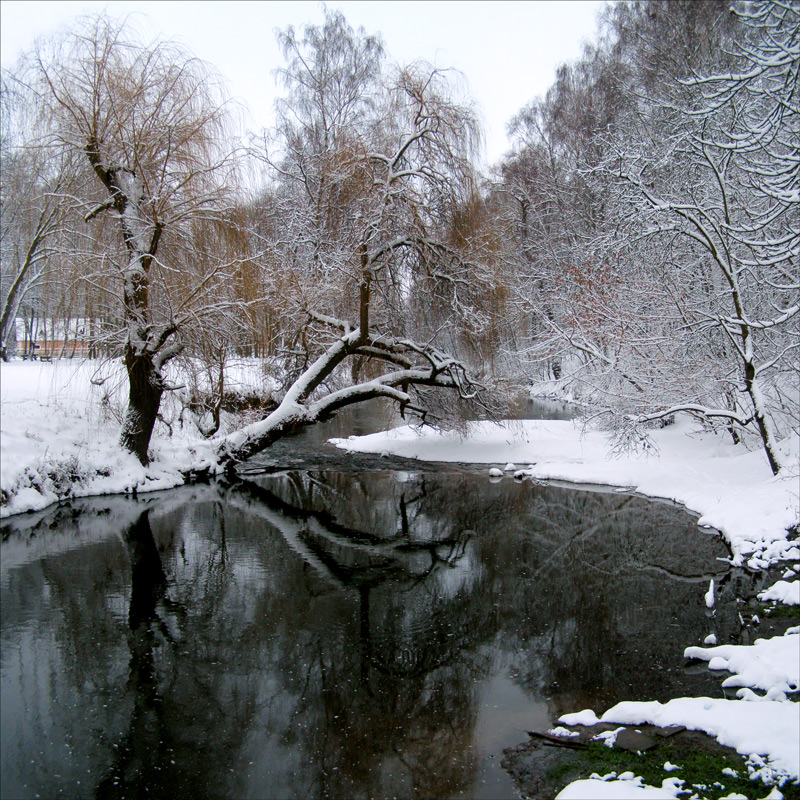 Фотографія Winter mirror / vovikmar / photographers.ua