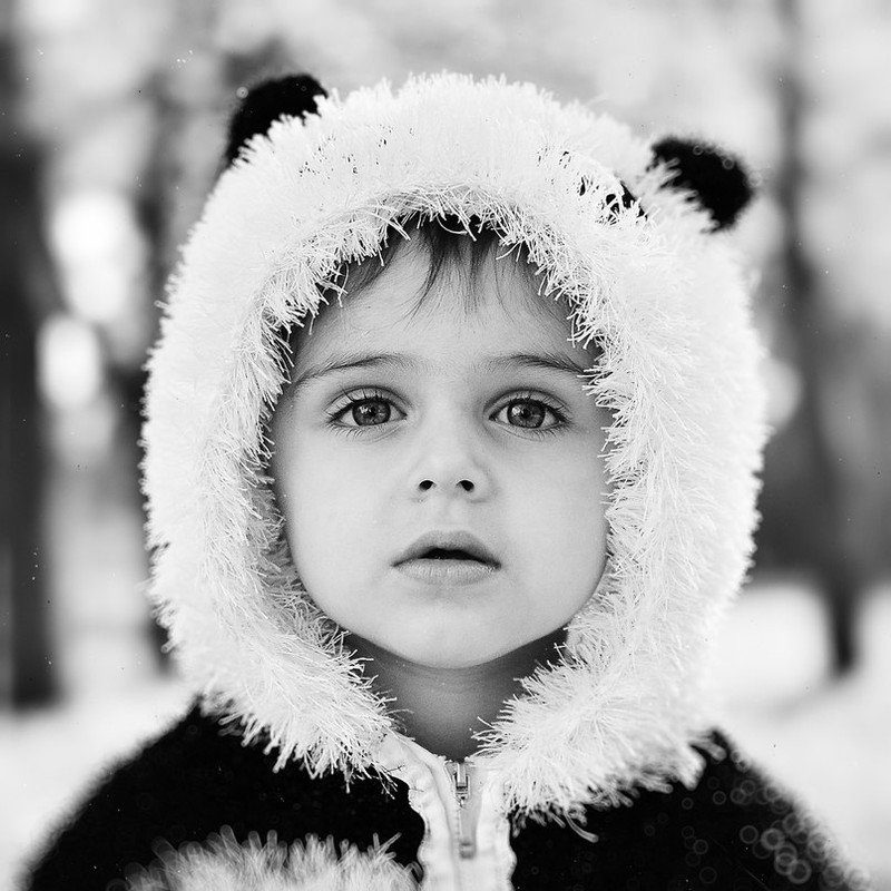 Фотографія Winter / Igor Zhmur / photographers.ua