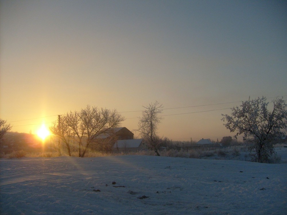 Фотографія Зимнее утро / Анна Захарова / photographers.ua