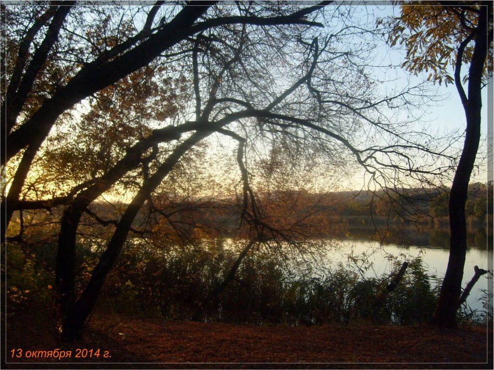 Фотографія Осенний лес / Анна Захарова / photographers.ua