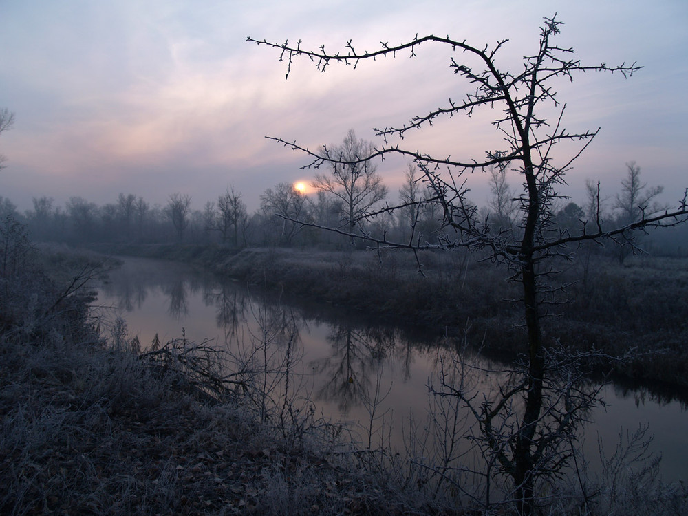 Фотографія морозный рассвет... / Дмитрий Мусулега / photographers.ua