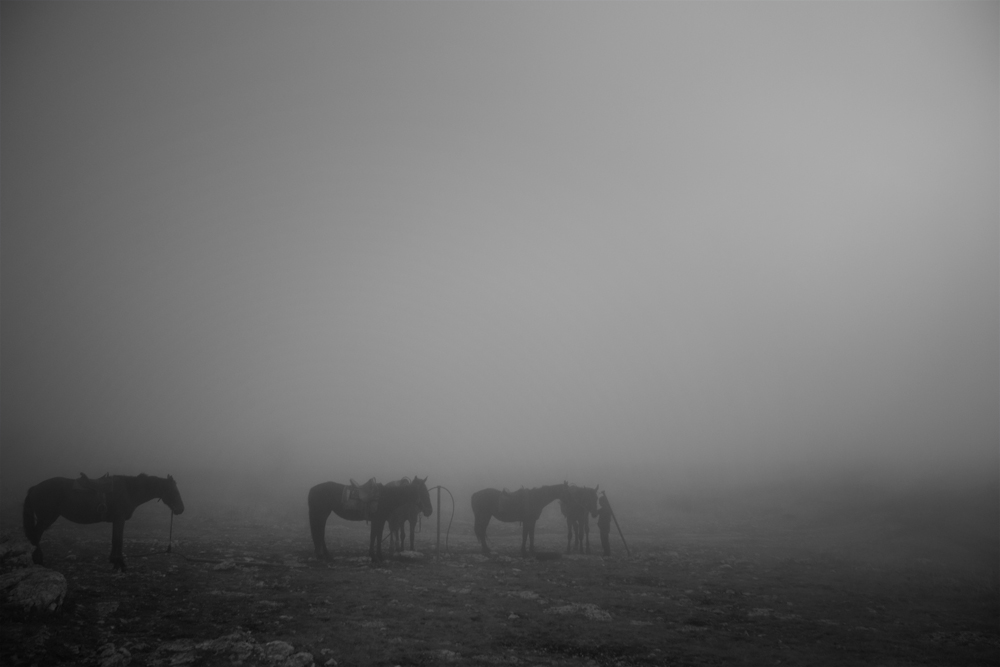 Фотографія Пейзаж / Антон Попов / photographers.ua