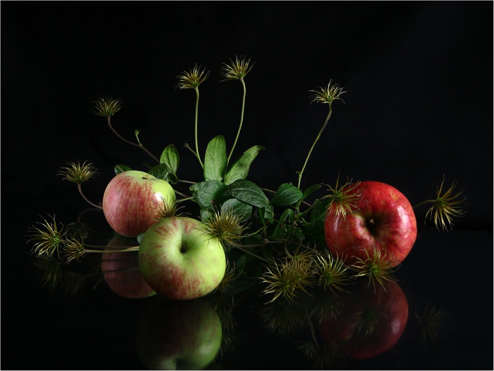 Фотографія Три яблучка / Estella / photographers.ua