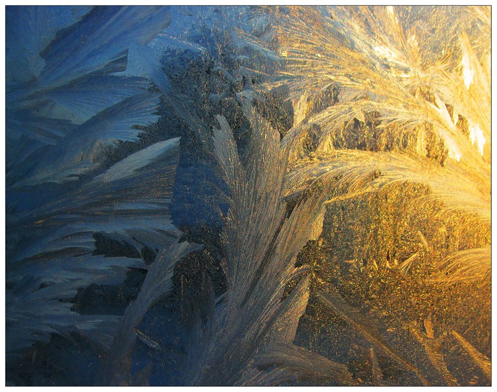 Фотографія Frosty painting / Estella / photographers.ua