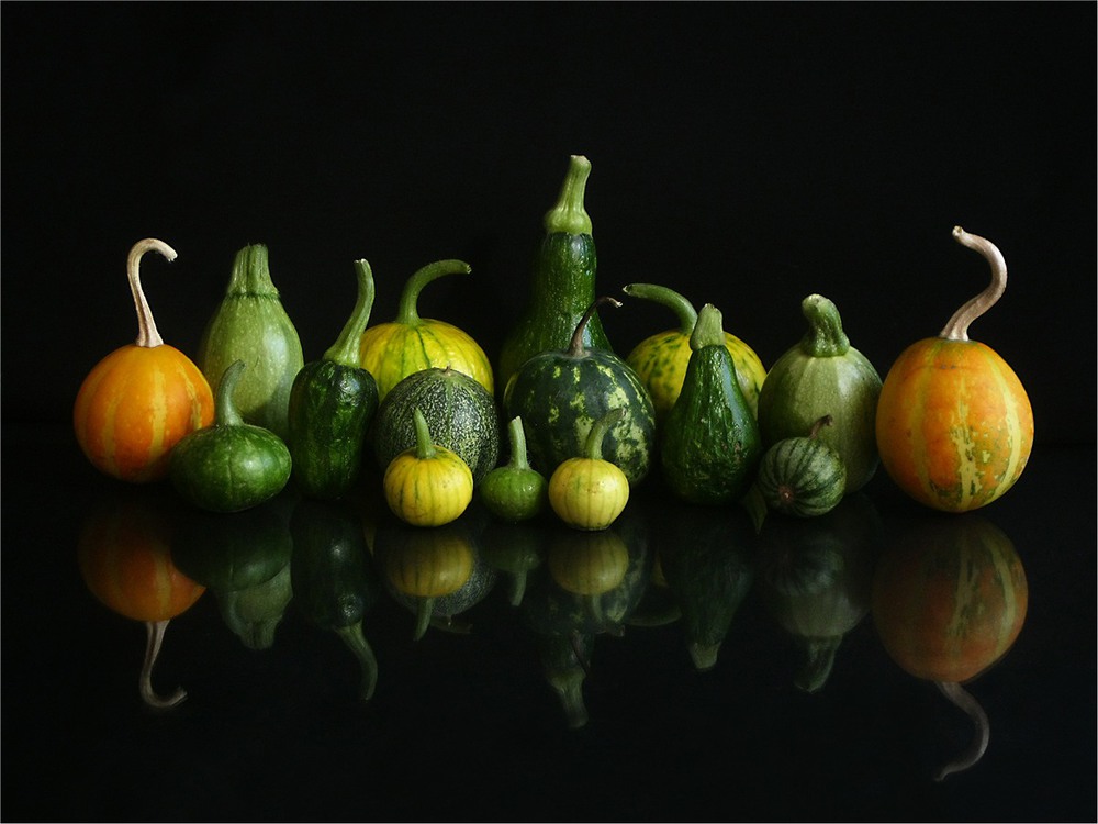 Фотографія Pumpkin symmetry / Estella / photographers.ua