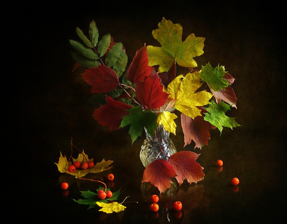 Фотографія Красива осінь вишиває клени... / Estella / photographers.ua