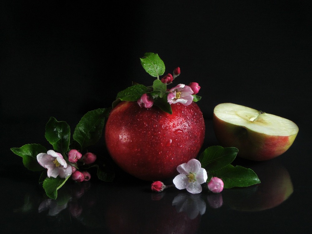 Фотографія Півтрора яблучка / Estella / photographers.ua