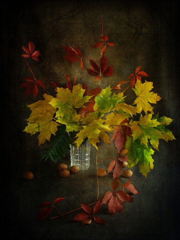 Фотографія Прощавай, яскравий жовтень... / Estella / photographers.ua