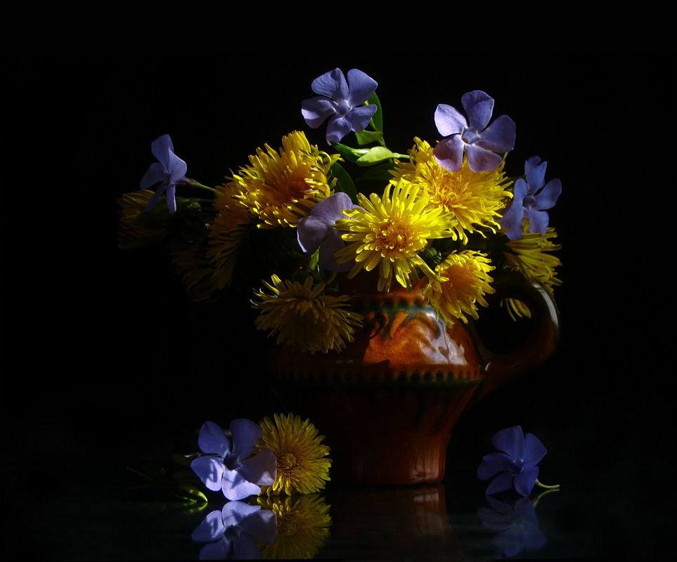 Фотографія Sunny flowers / Estella / photographers.ua